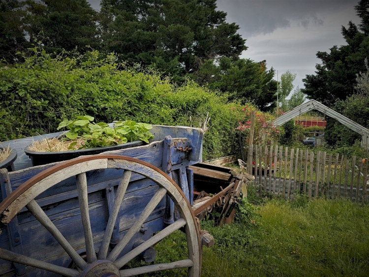 DU POTAGER À L'ASSIETTE