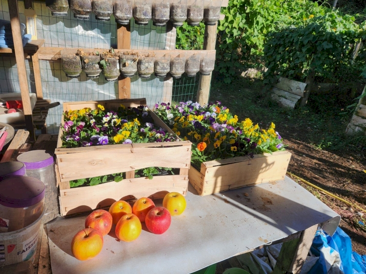 DU POTAGER À L'ASSIETTE 3