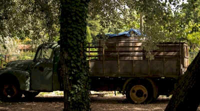 Créneau bain chaud devant les renards