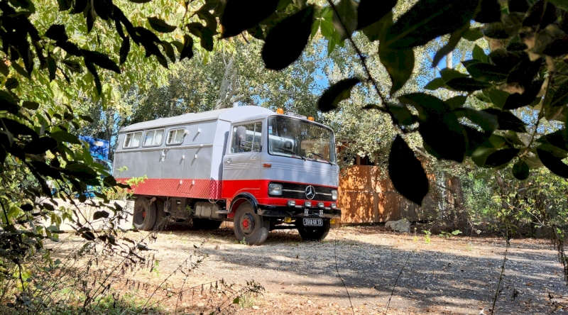 Le 608 Mercedes